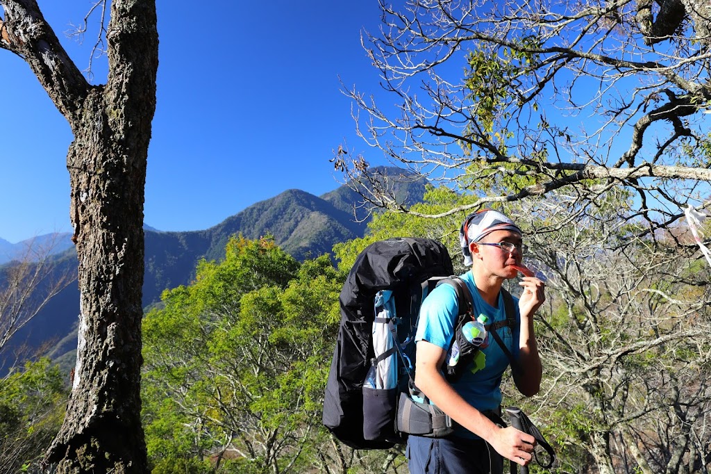 冬季拉夫朗山的樹木與藍天