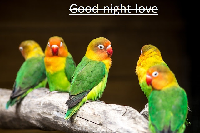 Good-night-images-with-love-good-night-images-love Good night images love, whatsapp good night images, download good night hd love images