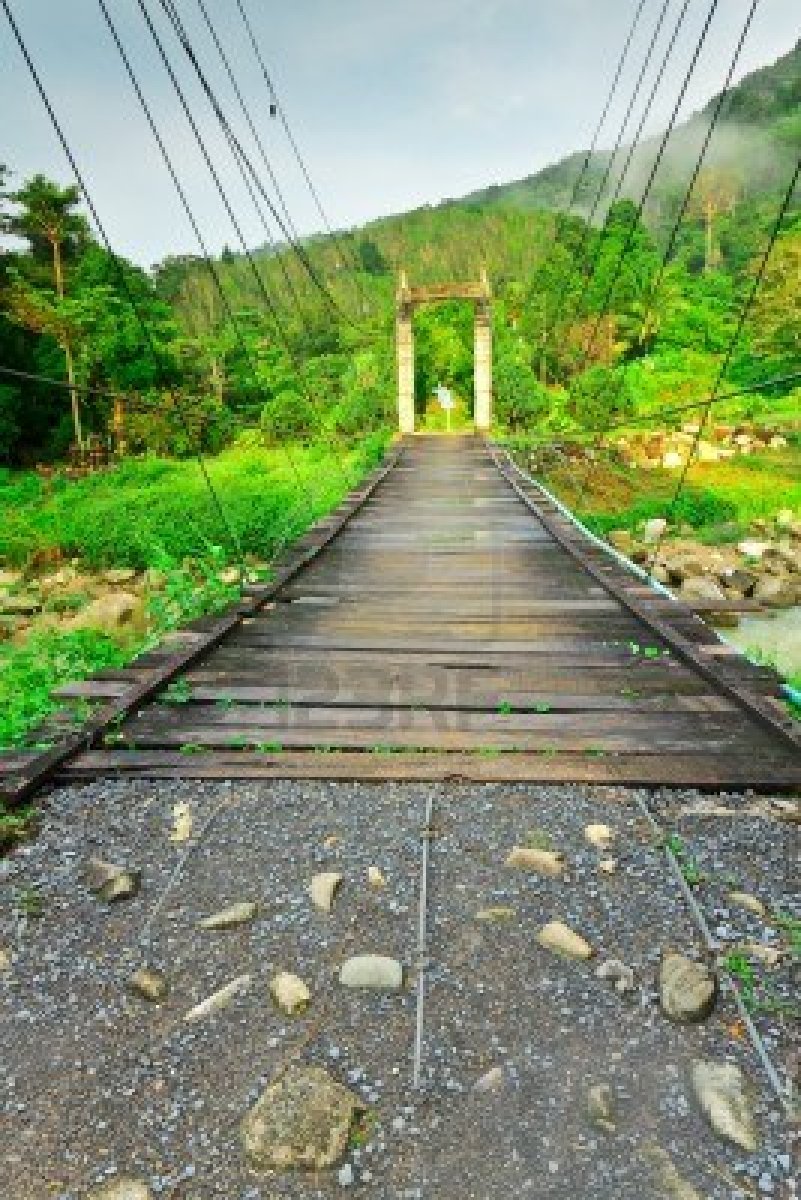 Bridges Rope Bridge