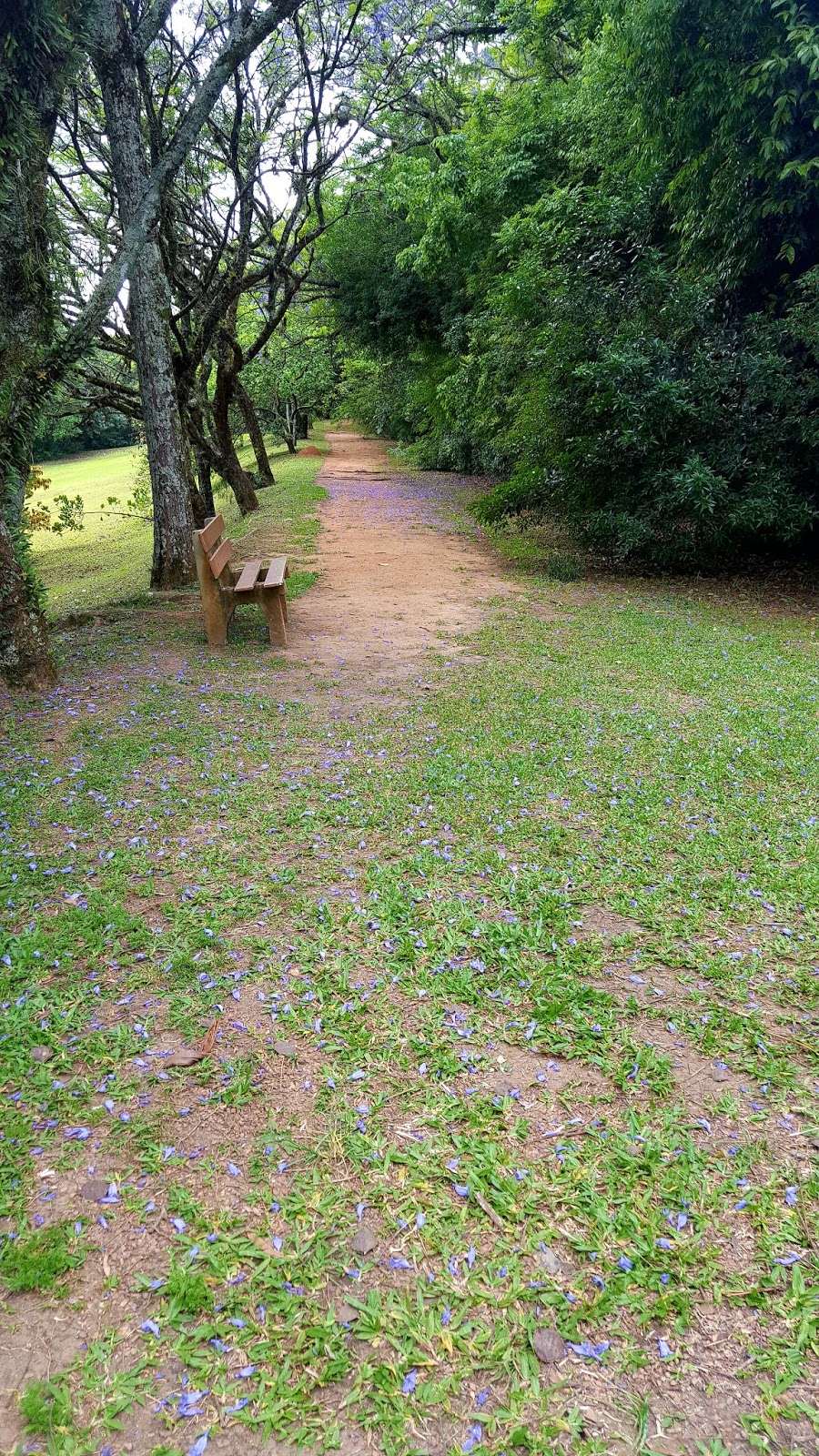 Jardim Botânico Jardim Botânico
