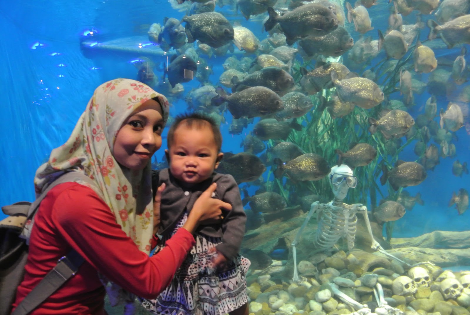 Aquaria KLCC 2015 IEZANA STORY