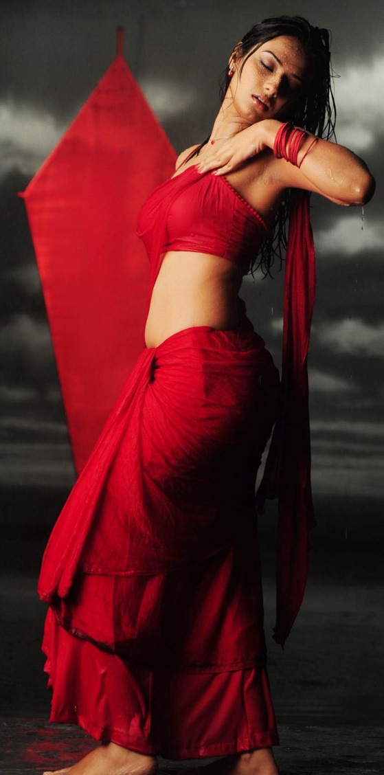 Actress Gallery 2011 Isha Chawla Hot In Red Sexy Images