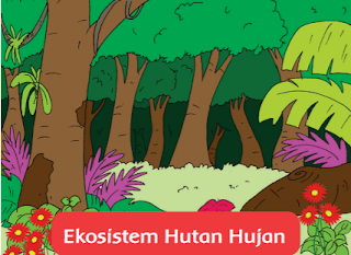 Ekosistem Hutan Hujan www.simplenews.me
