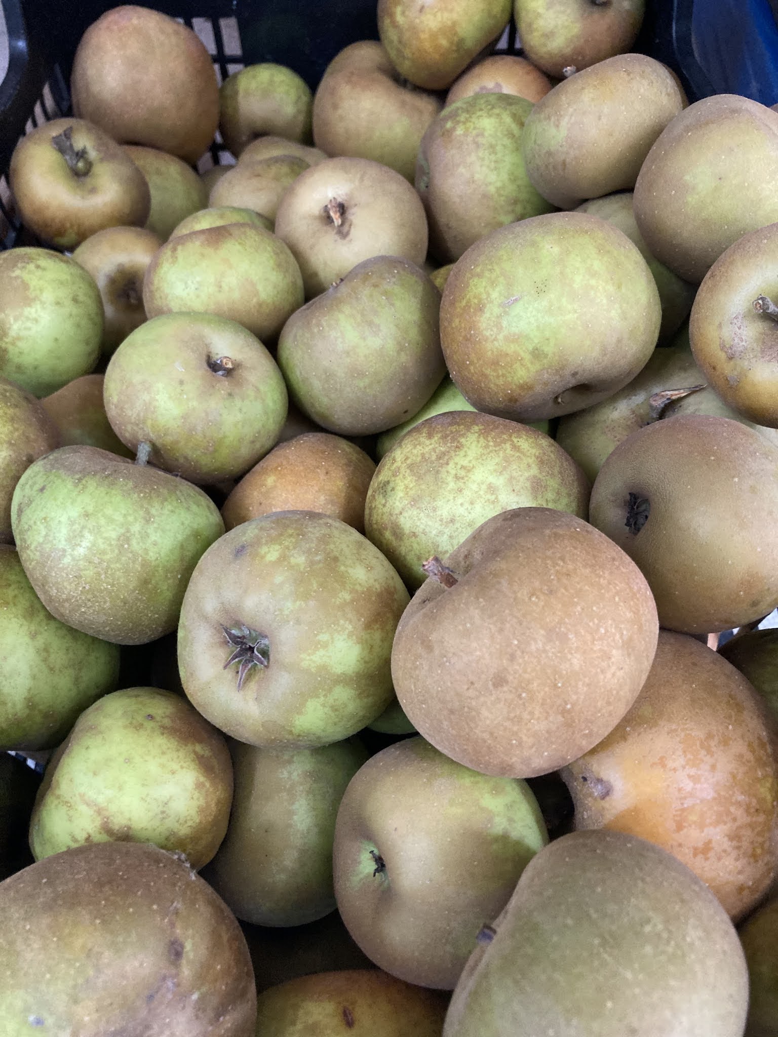 El Pomari de l'Emili