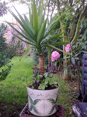 Aprendiz: macetas y jardineras