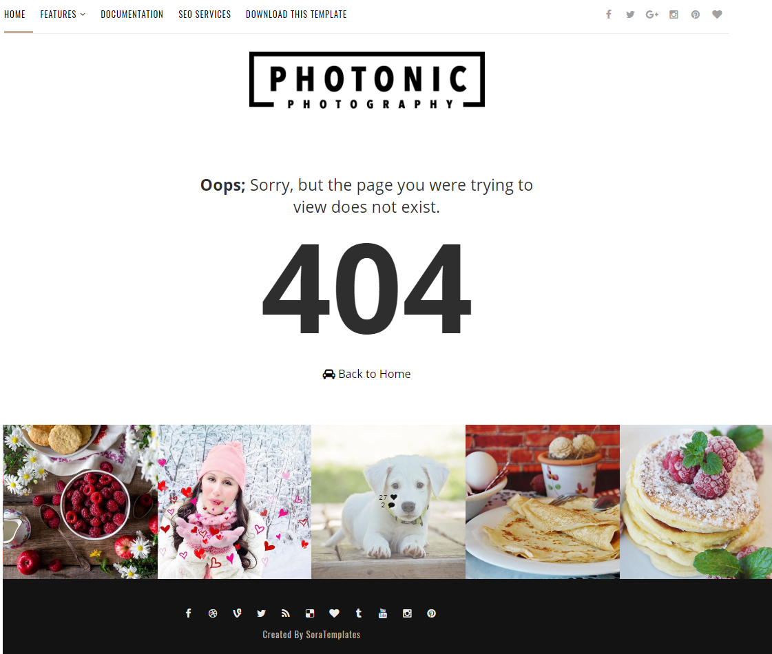 404 Page of Photonic Blogger Theme for Photography Template