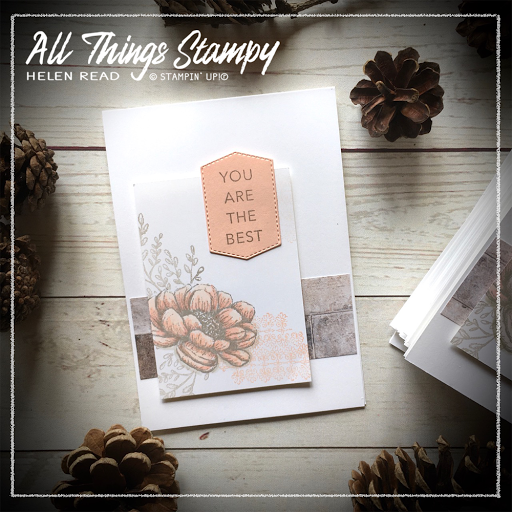 All Things Stampy Introducing the In Good Taste Suite