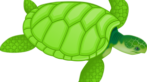 KURA-KURA PENIUP SERULING #kurakura #seruling