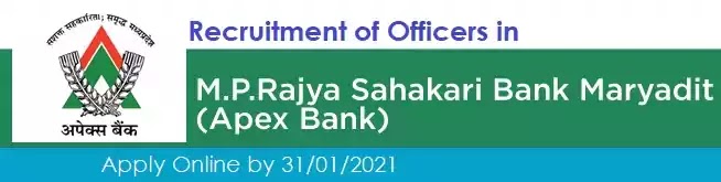 Apex Bank Officer Grade Vacancy Recruitment 21