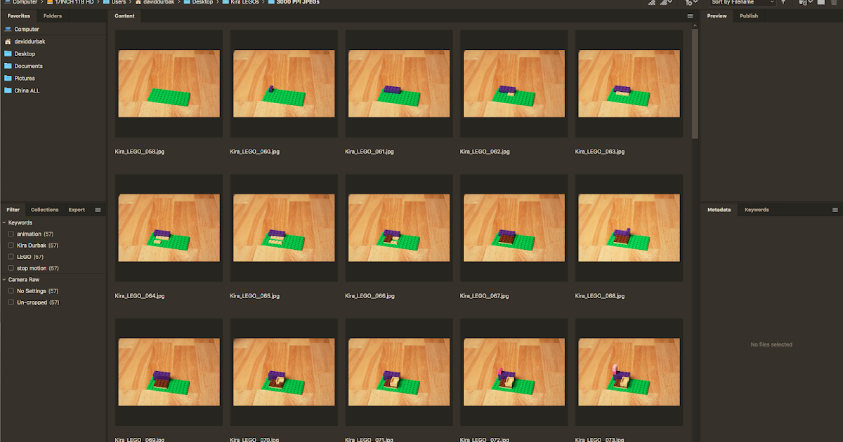 Assignment 02 Stop Motion / Frame by Frame Animation Project Part 1