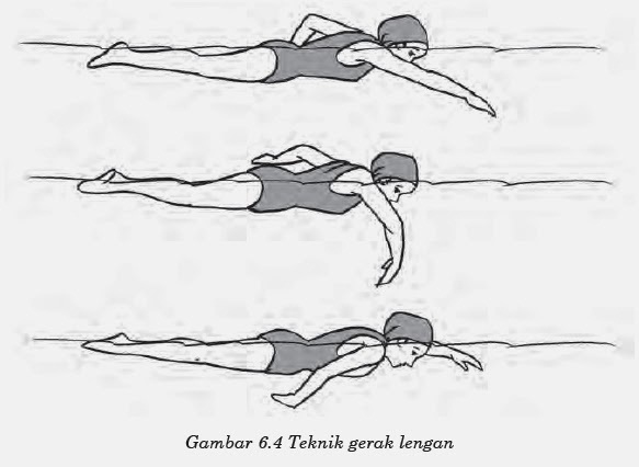 Teknik Pernafasan Dalam Renang Gaya Bebas Yang Harus Diketahui Ilmuips My Id Materi Belajar Gratis