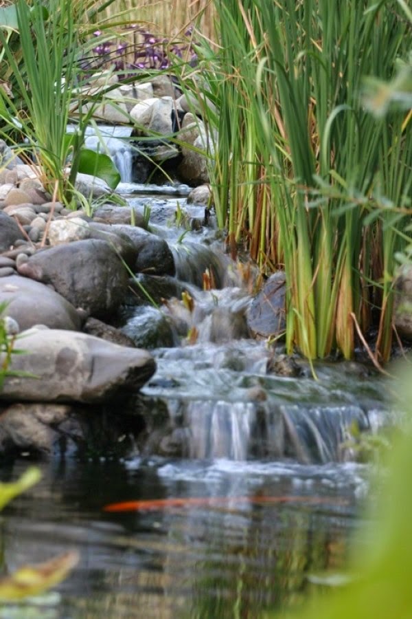 A relaxing garden and backyard waterfalls