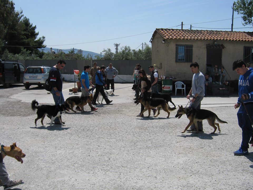 ΟΜΑΔΙΚΑ ΜΑΘΗΜΑΤΑ