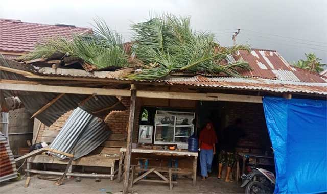 Rumah Warga Bungus Teluk Kabung Tertimpa Pohon Tumbang