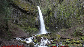 Dry Creek Falls Hike Oregon
