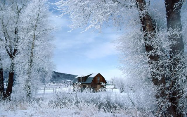 صور وخلفيات الشتاء والثلوج Winter