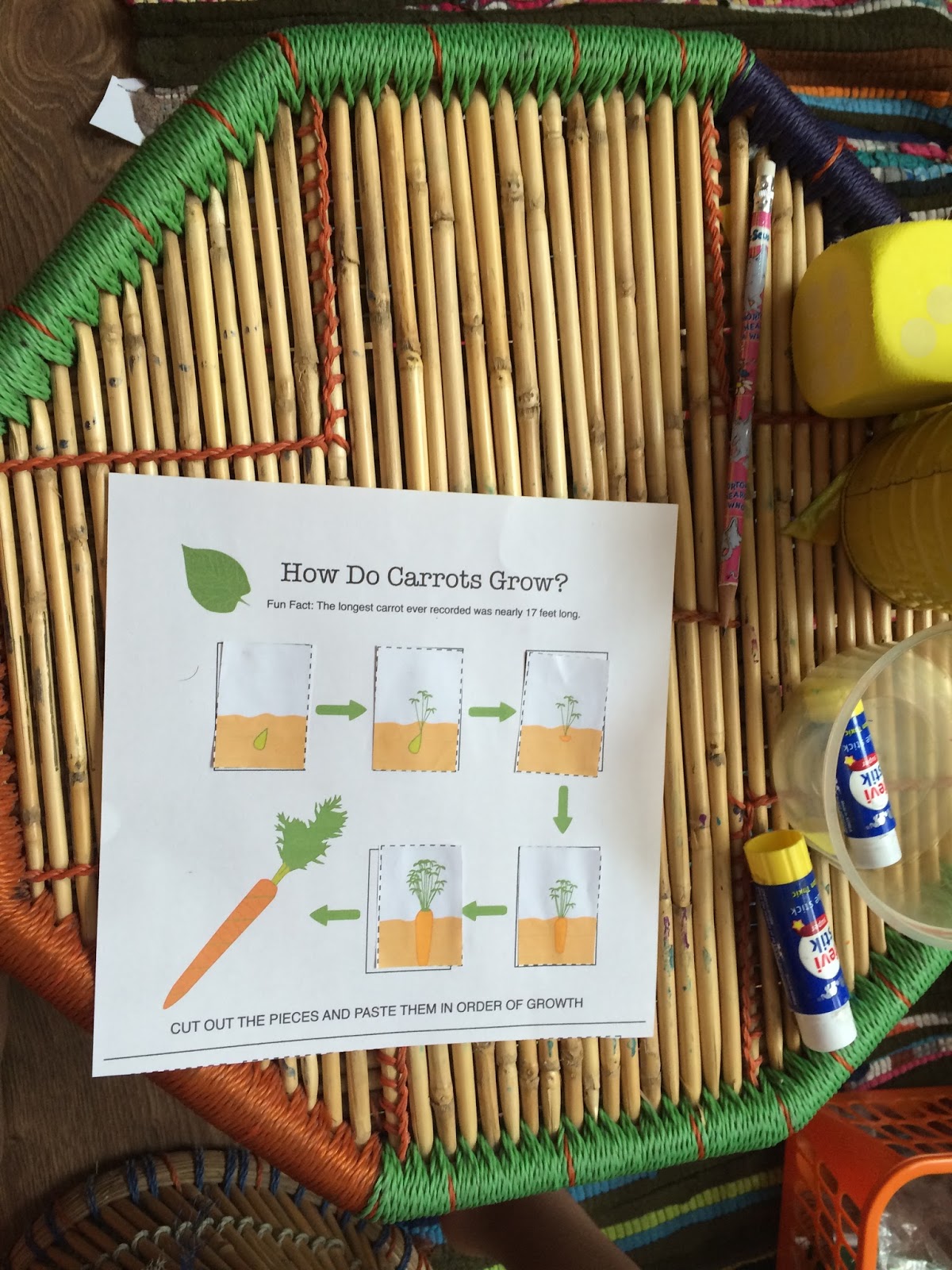 Spoonfuls of Kindergarten The Carrot Seed