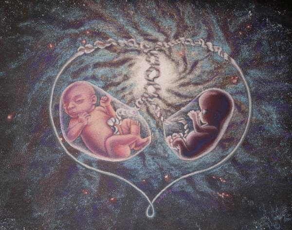 Abundancia, Amor y Plenitud : QUE SON LOS REGISTROS AKASHICOS