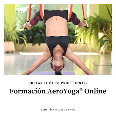 formacion-yoga-aereo-certificacion-buscas-el-exito-campo-wellness-bienestar-aeroyoga-aerea-online-desde-casa-en-linea-a-distancia