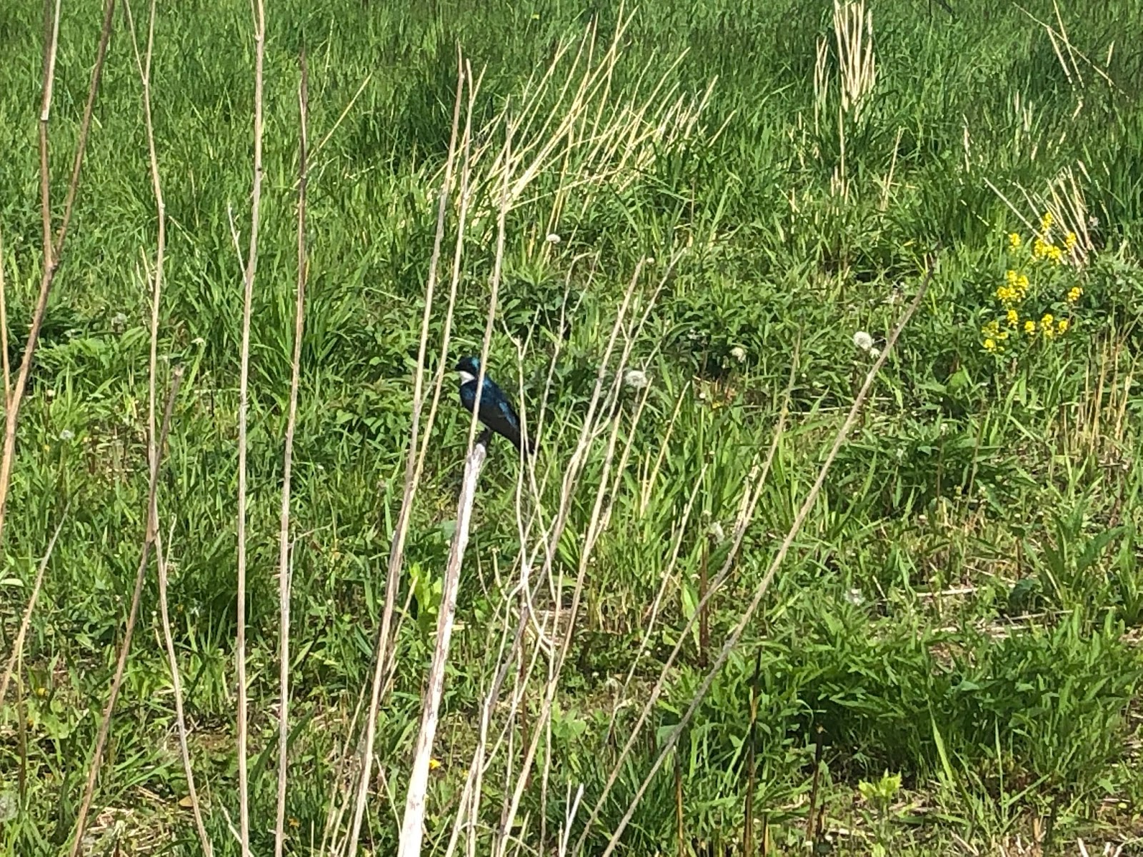 A Little Time and a Keyboard Hiking to a Spectacular View at Grassy