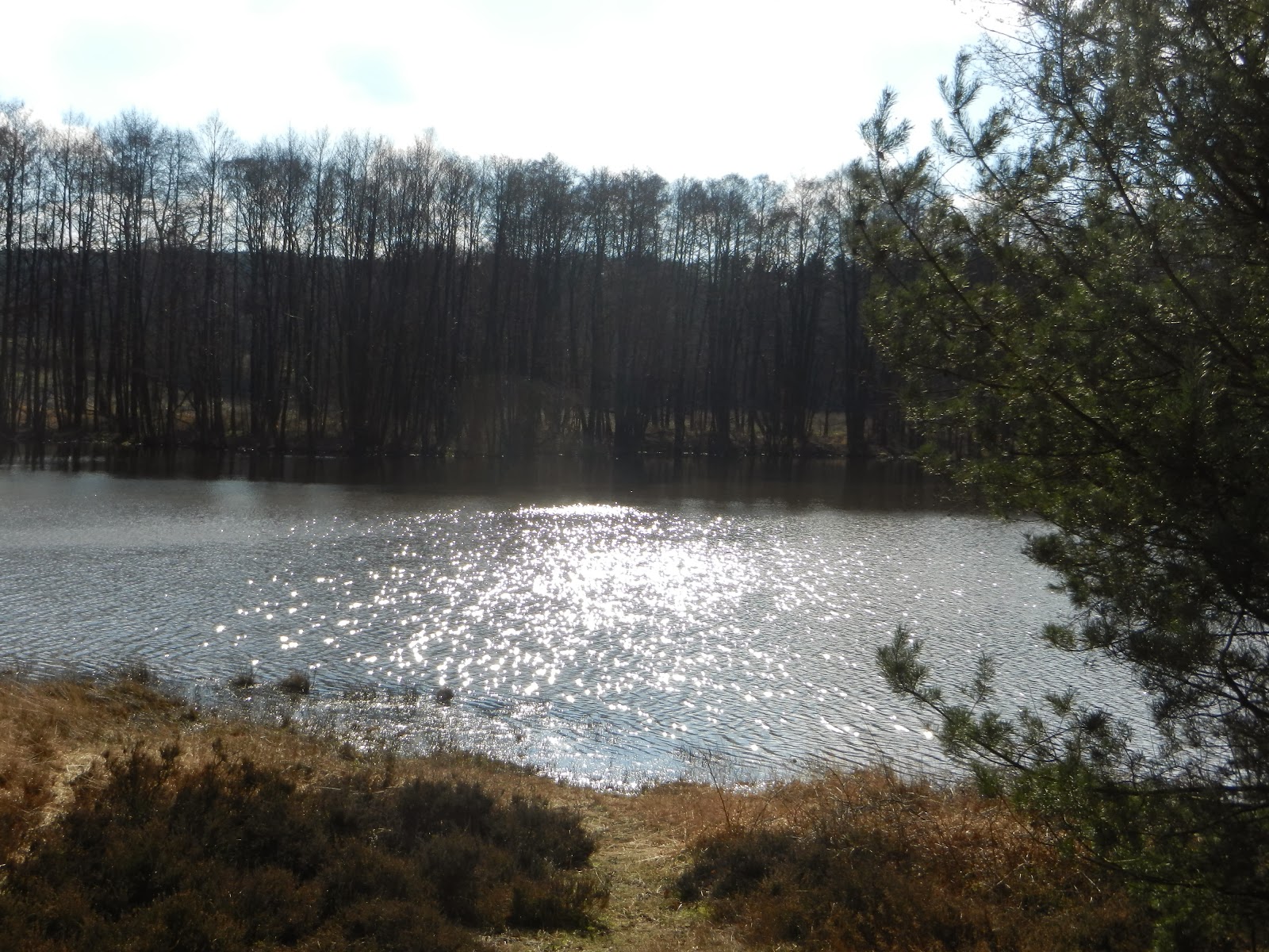 Der Wanderfreund Wandern auf dem HeidePanorama Weg bei Amelinghausen