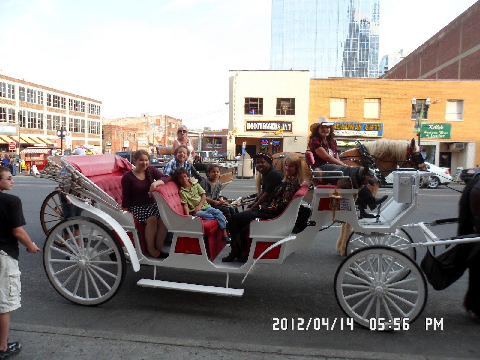 Sugar Creek Carriages Carriage Rides Nashville tours
