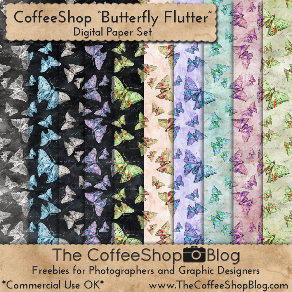 Cape communication studies model essays