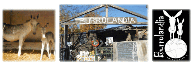 Burrolandia