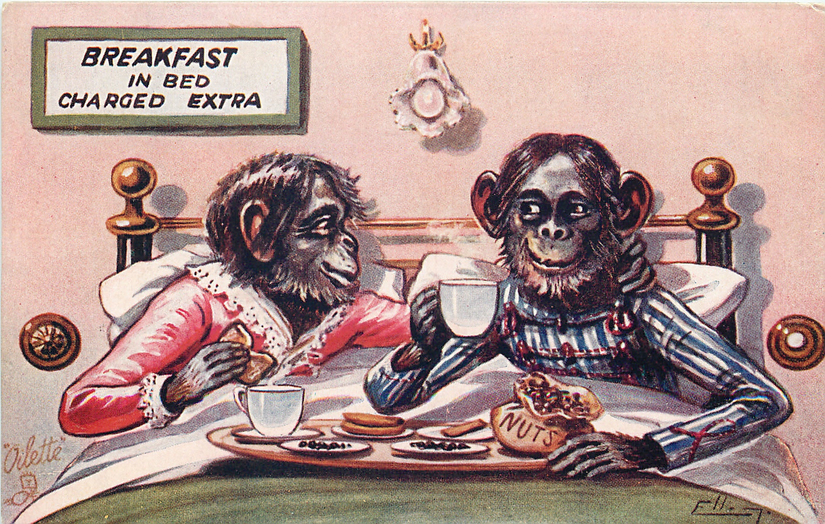 Breakfast in Bed Charged Extra Cute Animal Vintage Postcards From the