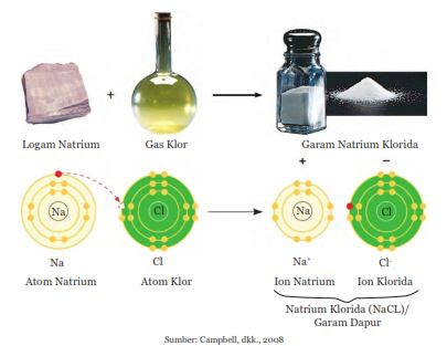 Materi Ipa Kelas 9 Partikel Penyusun Benda Mati Dan Makhluk Hidup Terlengkap