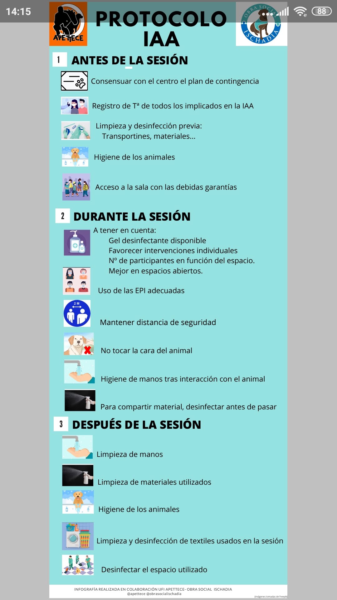 PROTOCOLO DE ACTUACIÓN