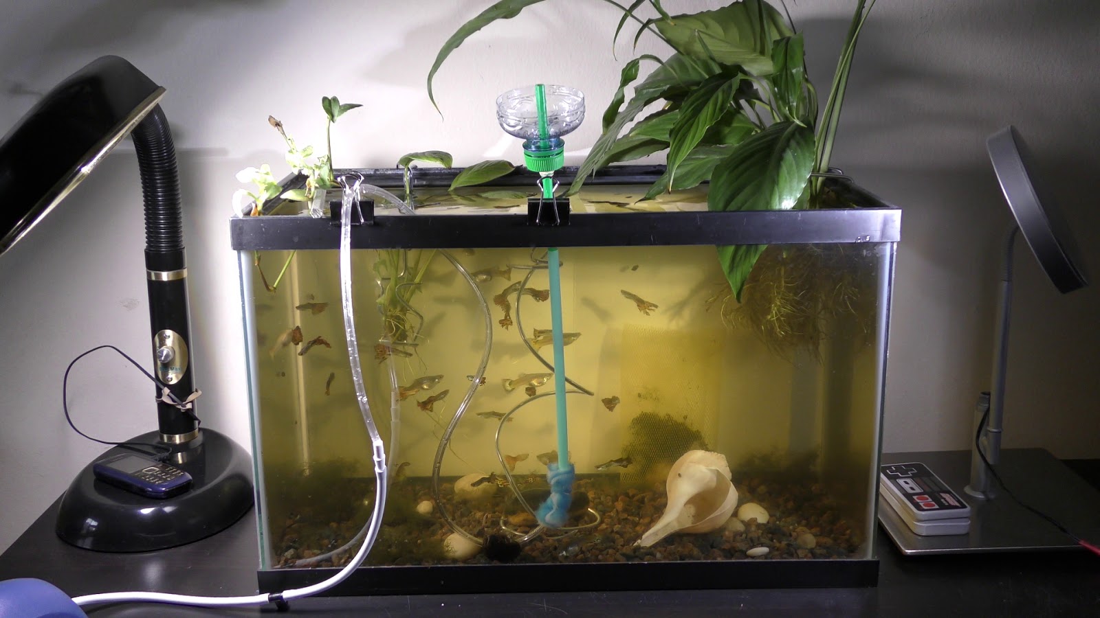 Random Bits DIY Aquarium Sponge Filter