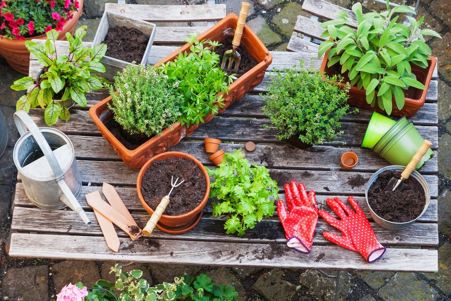 Flower Gardening Tips And Tricks flower-gardening-tips-and-tricks