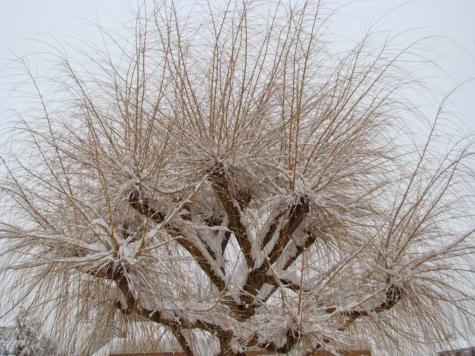A Oração Do Publicano É Um Exemplo De Autenticidade