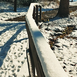 Snow-Covered railing next to footbridge