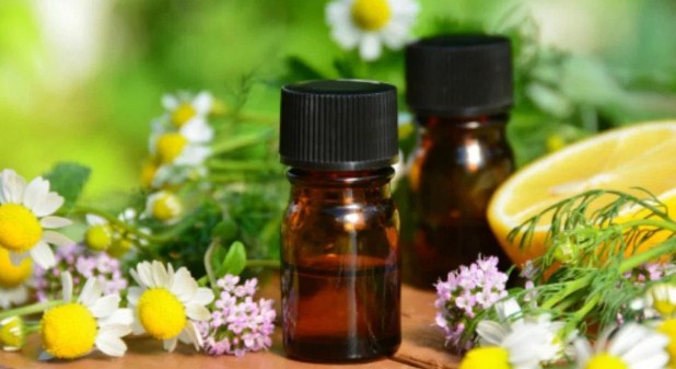 Let's See the Benefits of Essential Oils for Body Relaxation Let's See the Benefits of Essential Oils for Body Relaxation