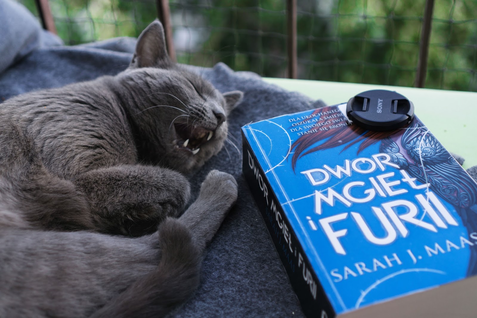#57 Sarah J. Maas "Dwór Mgieł i Furii"