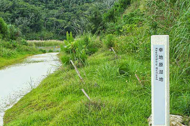 wetlands entrance, signpost