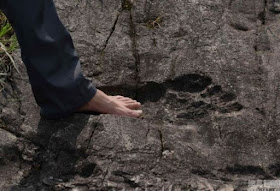 Nephilim Giants and their huge ancient footprints have set in stone. Nephilim Giants and their huge ancient footprints have set in stone.