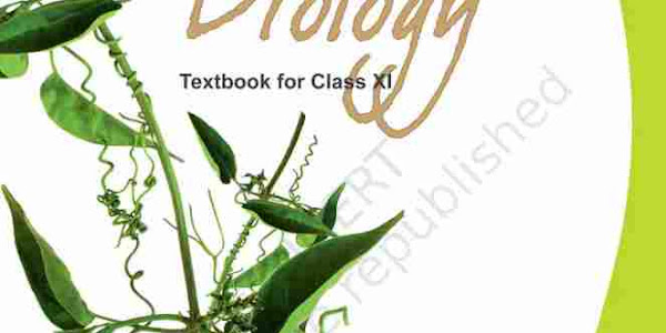Ncert books for Free download biology, chemistry, physics  2018-2019 edition