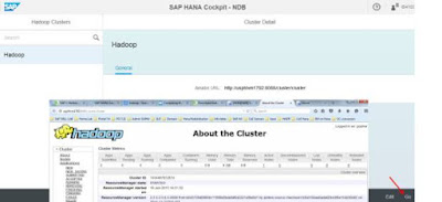 SAP HANA SP100 SDA, Apache Hadoop