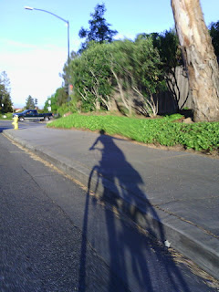 Shadow of bicycle and pep signaling a right turn. (Narrative Clip)