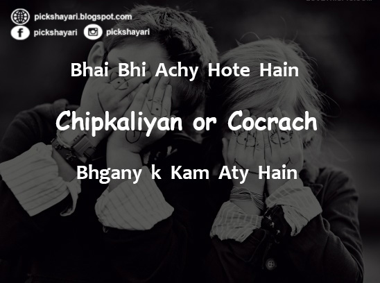 Bhai Behan Quotes in English - Poetry Lovers