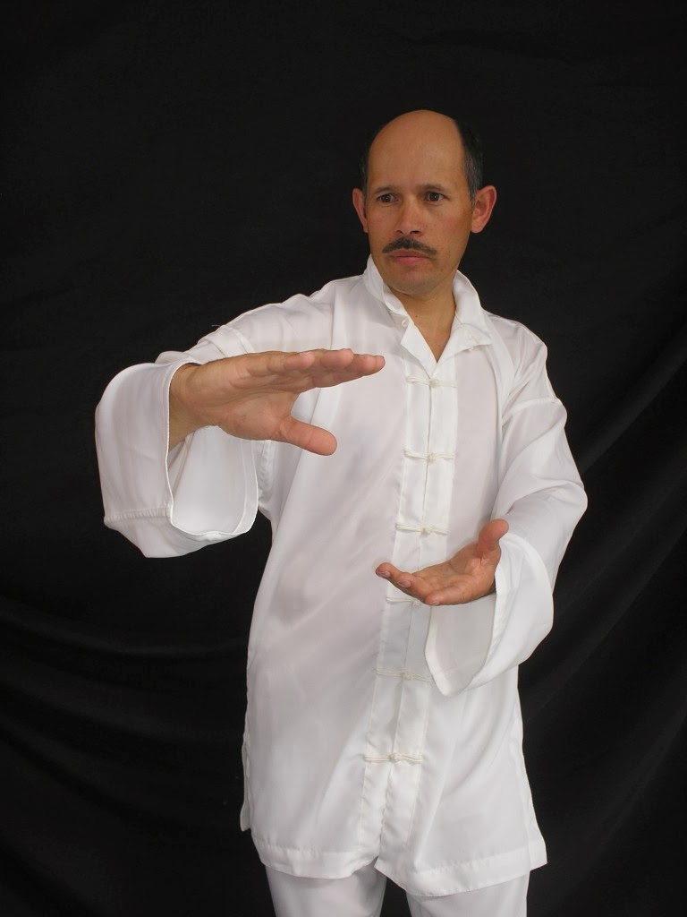 Hapkido, Maestro Gildardo Romero