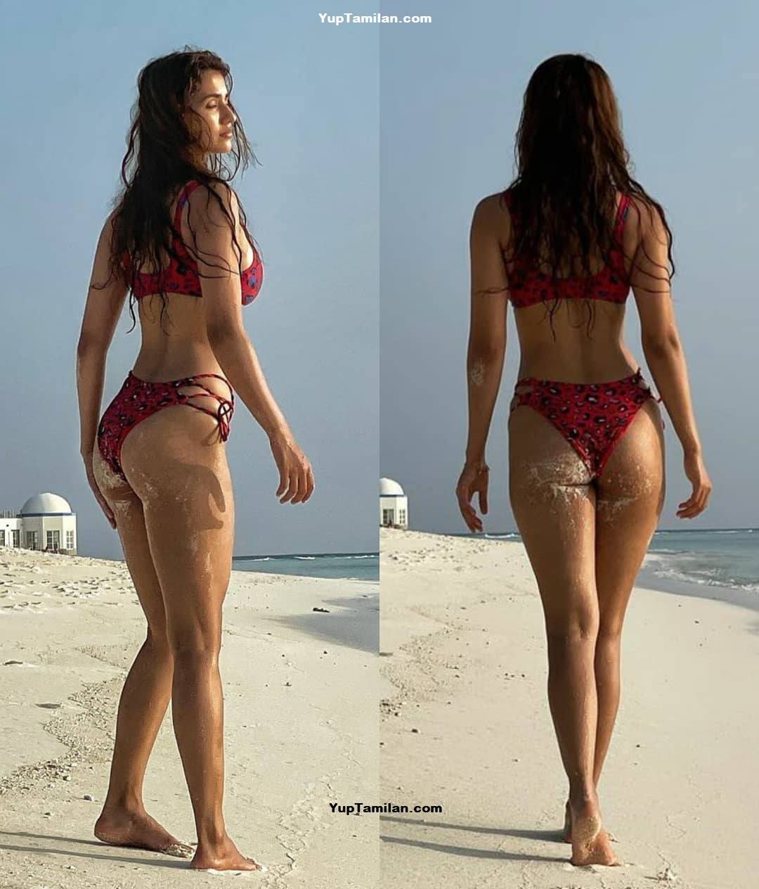 Top Seducing Bikini Photos Of Disha Patani Bra Swimwear Skin Show