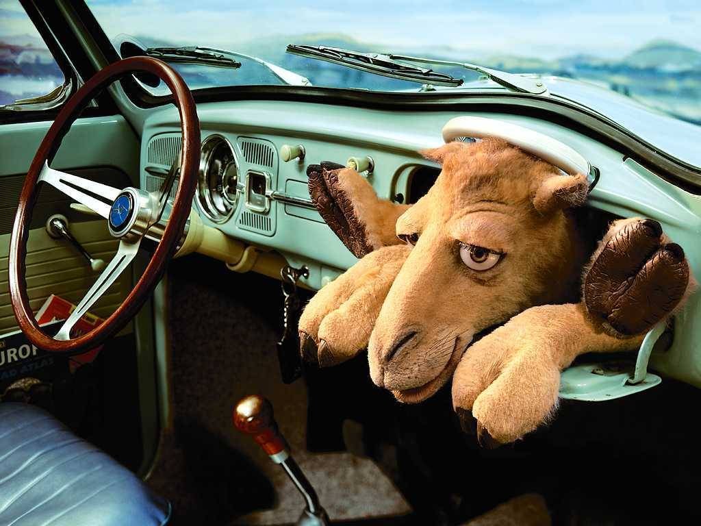 Автоприколы летом