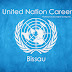 Special Assistant, Political Affairs - United Nations, Bissau, Deadline: Jun-17-2016