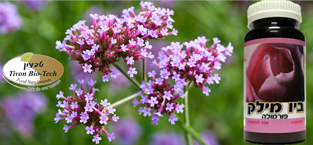 ביו מילק טבעון