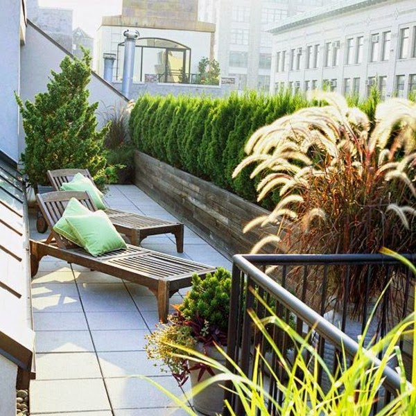 Terrace garden – beautiful design ideas!