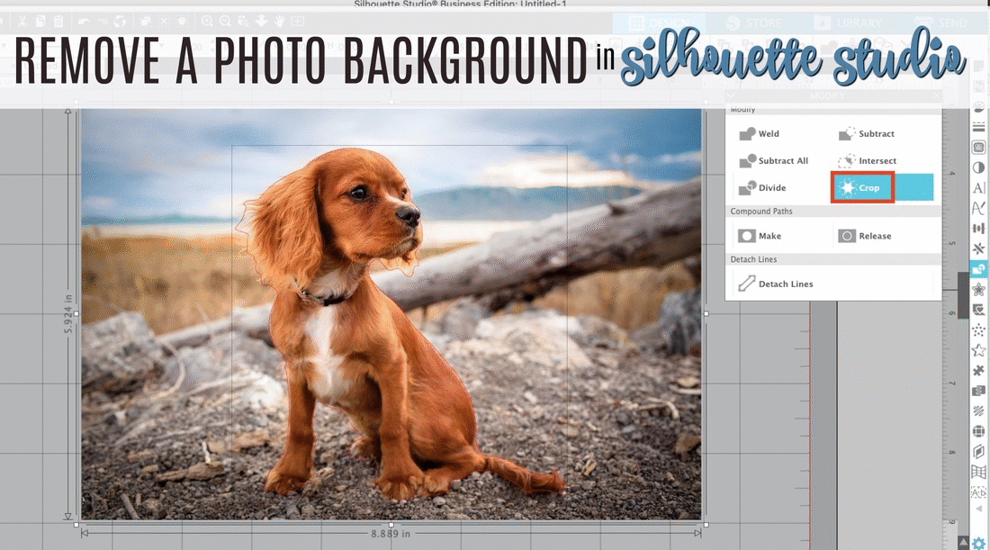 How to Remove a Photo Background in Silhouette Studio - Silhouette School